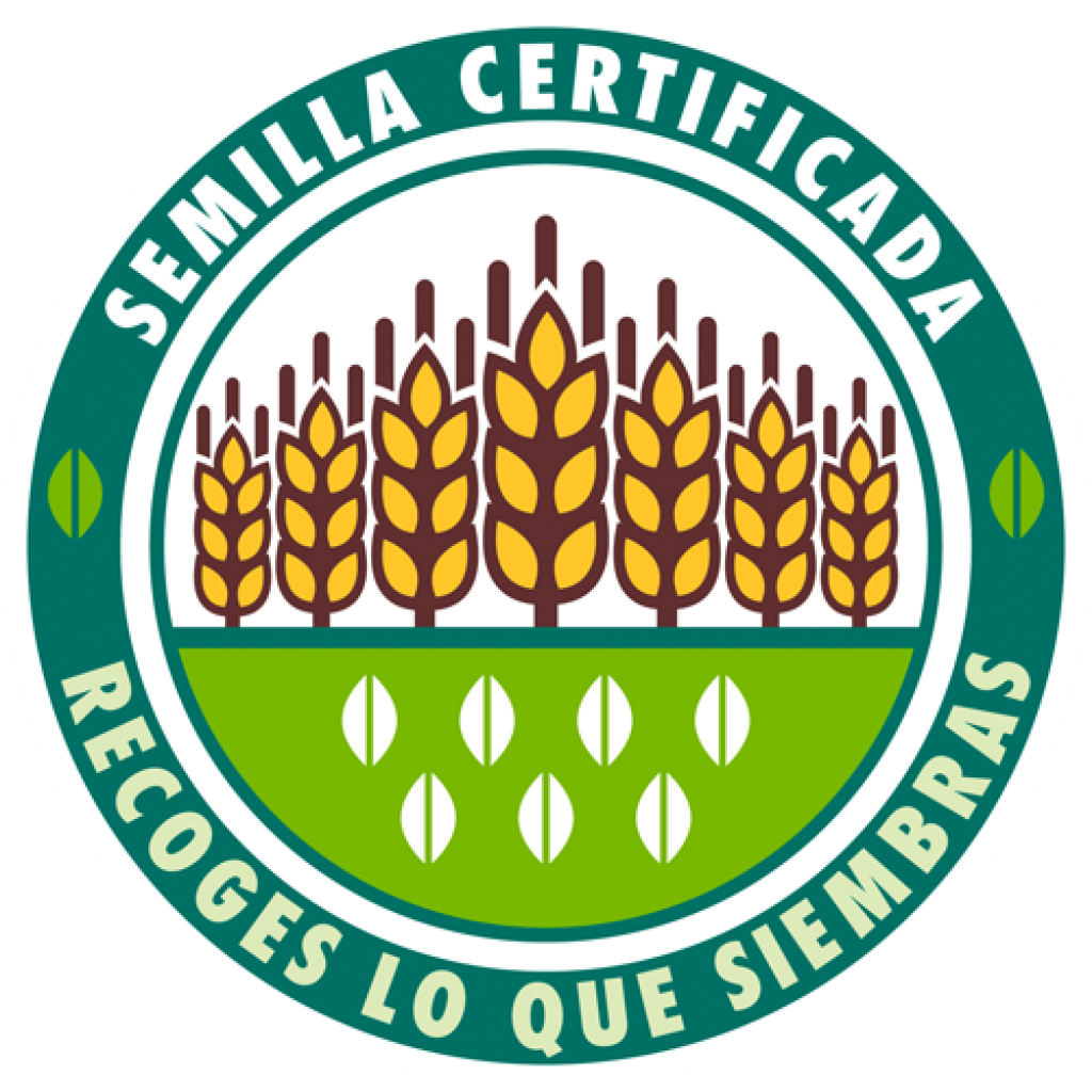 Agraria San Antón | Secadero De Maíz Y Cereales | Semillas Certificadas